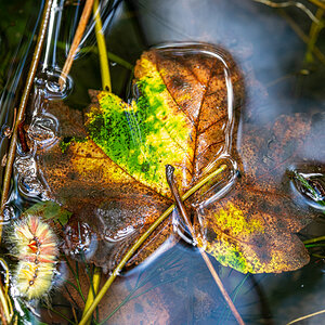 HAR_6831-2.jpg