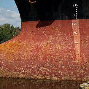 _Z7F4951.JPG