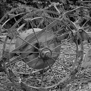 comp_DSC_0050.jpg