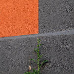 P1080442.jpg