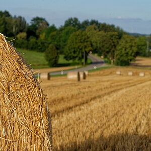 DSC_7541_DxO.jpg