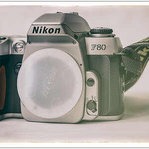 384 Nostalgie I – Nikon F80