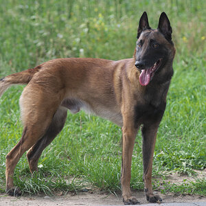 DSC_1591.jpg
