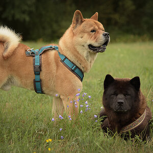 NF_DSC_7200.jpg