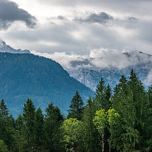 HAR_6936-2.jpg