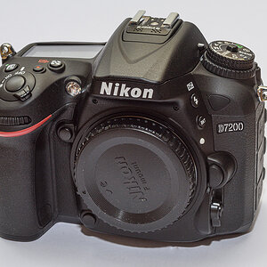 D81_4678.jpg