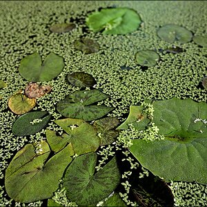 comp_DSC_1252_00001.jpg
