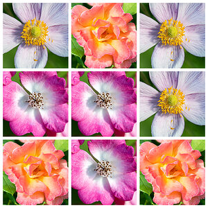 391 Blüten-Tableau