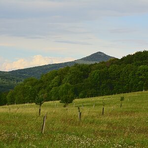 DSC_0287_00001_02n.jpg