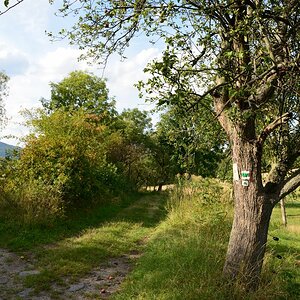 DSC_7264_00001n1.jpg