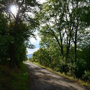 DSC_7275_00001n1.jpg