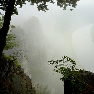 DSC_2454_00001n.jpg