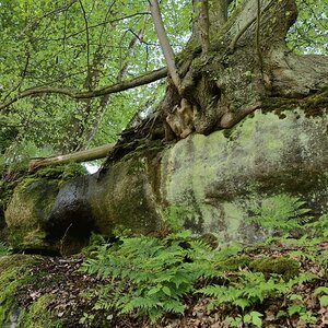 DSC_1091_00001n.jpg