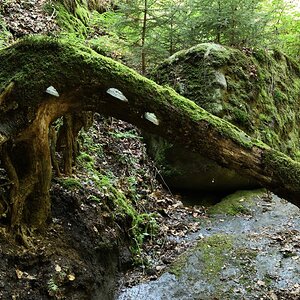DSC_1101_00001n.jpg