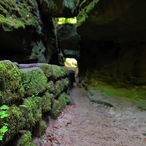 DSC_1150_00001n.jpg