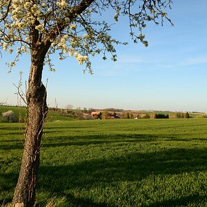 DSC_6677_00001n.jpg