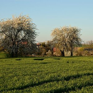 DSC_6693_00001n.jpg