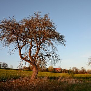 DSC_6733_00001_01n.jpg