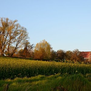 DSC_6735_00001n.jpg