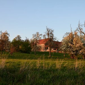 DSC_6737_00001n.jpg
