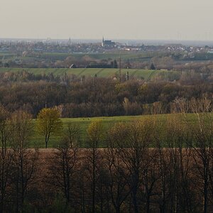DSC_0988_00001n.jpg