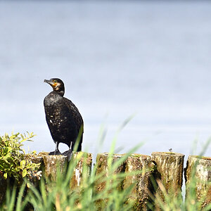 WKO_1442_NF.jpg