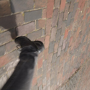20200904_141917_nf.jpg