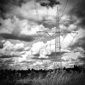 DSC_1319.jpeg