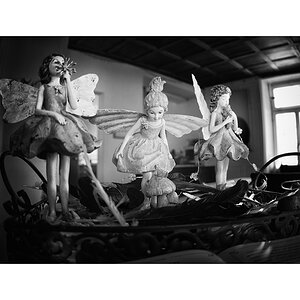 SasaDSC_0845.jpg