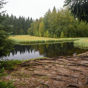 D81_4754.jpg