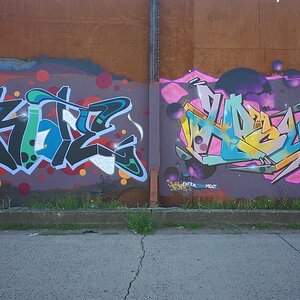 DSC_1195.jpeg