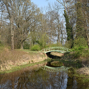DSC_5050.JPG