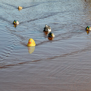 20110308-001.jpg