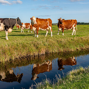 HAR_7616-2.jpg