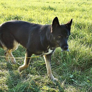 DSC_1830.jpg
