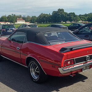 DSC_7827_DxO.jpg