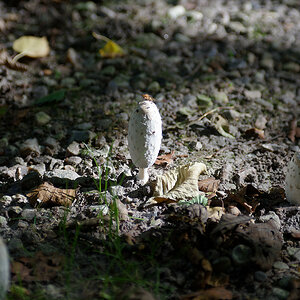 810_5254_DxO.jpg