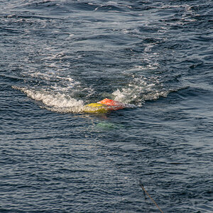 200919 AL545 NF-F-2.jpg