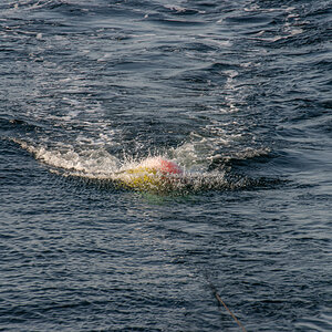 200919 AL545 NF-F-3.jpg