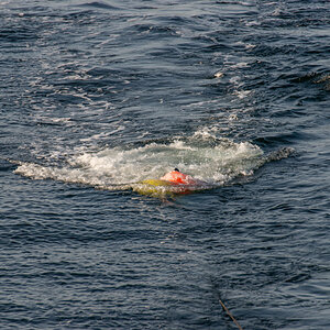 200919 AL545 NF-F-9.jpg