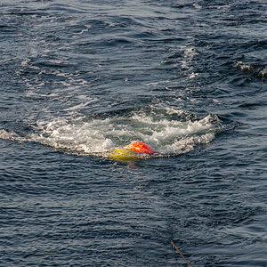 200919 AL545 NF-F-10.jpg
