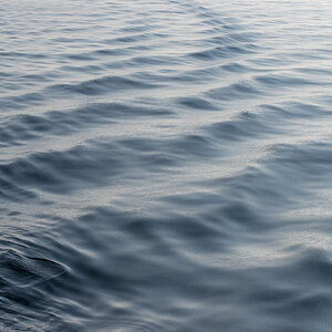 200921 AL545 NF-F-1.jpg