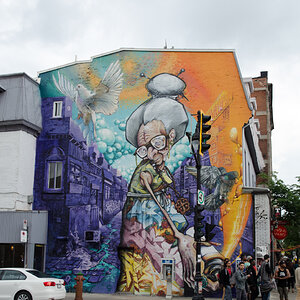DSC_8096.jpg