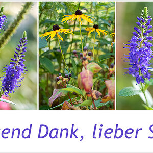 435 Tausend Dank, lieber Sam!