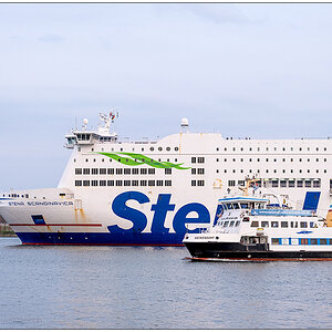 445 "Stena Scandinavica" mit Fördedampfer "Heikendorf"