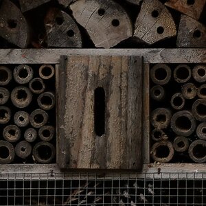 200mm.jpg