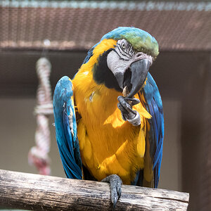 20200919-001.jpg