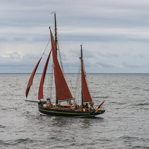 200925 AL545 NF-F-3.jpg