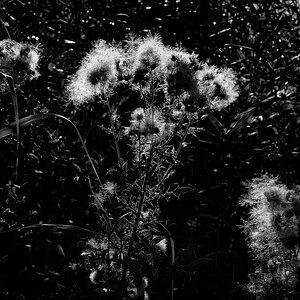 DSCF8783-1-web.jpg