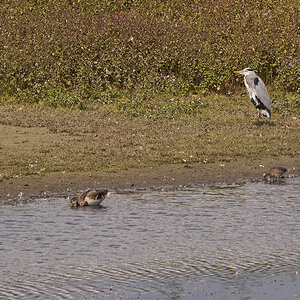 _9240262_DXO_Pxl.jpg